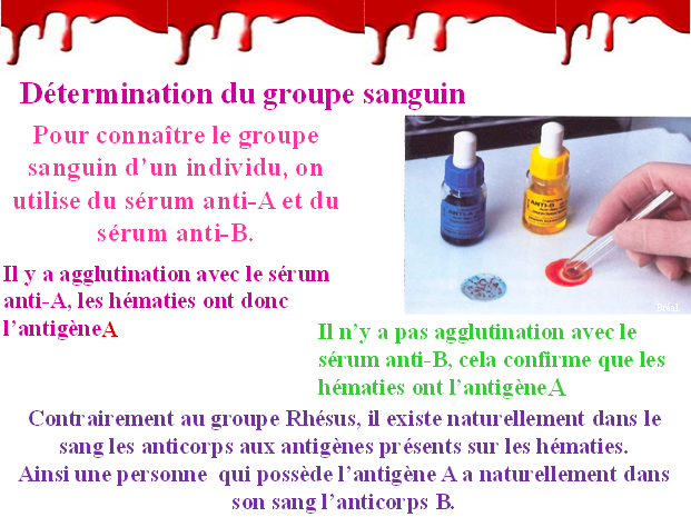 groupe1